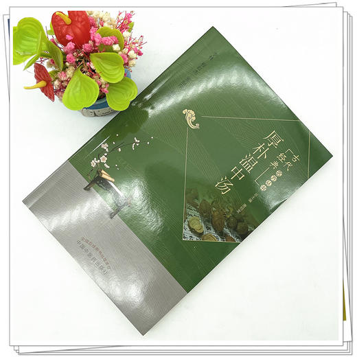 厚朴温中汤 李林 程红杰 张丽萍 熊露 主编 唐祖宣 总主编 中国中医药出版社 古代经典名方丛书 商品图2