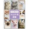 伯纳天纯猫粮无谷成猫粮英短美短蓝猫室内猫咪成猫猫粮3斤 商品缩略图2