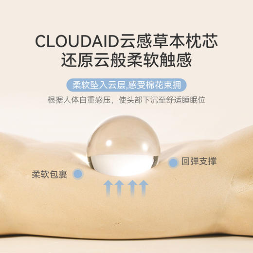 【时光存折】草本云朵枕Z3 商品图4