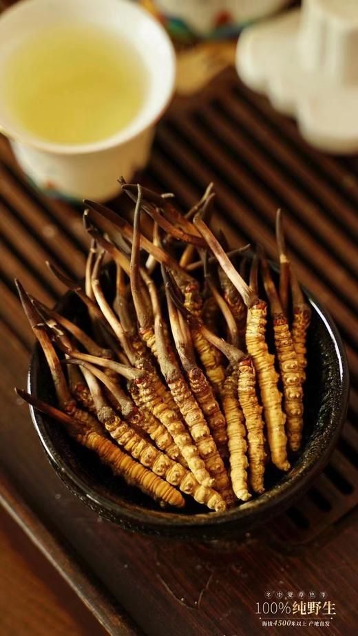 鲜虫草 商品图2