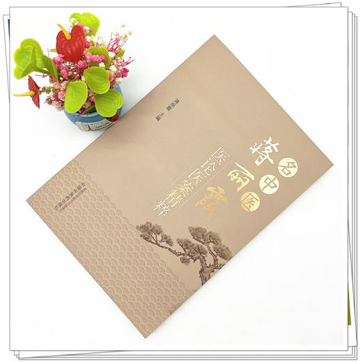 名中医蒋丽霞医论医案精粹 蒋丽霞 著 中国中医药出版社 中医临床 书籍 商品图2