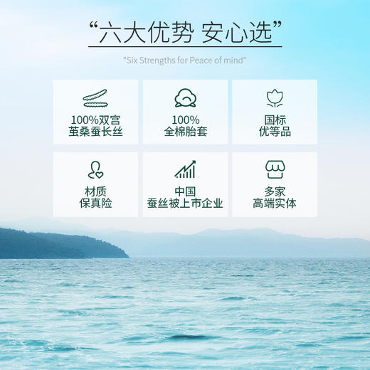 溯源臻品桑蚕丝被 商品图3