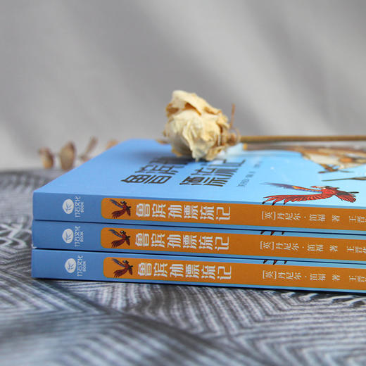 鲁滨孙漂流记 商品图4