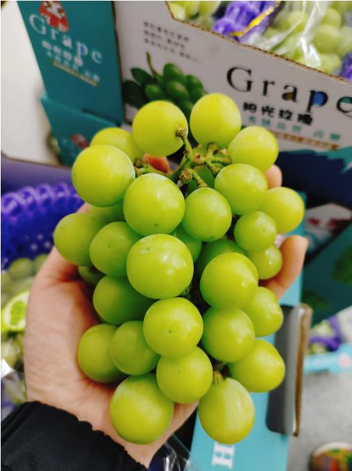 阳光玫瑰一箱（拼团） 商品图3