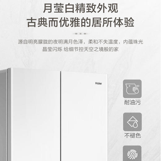 海尔（Haier）冰箱 BCD-460WGHFD4DW9U1 商品图8