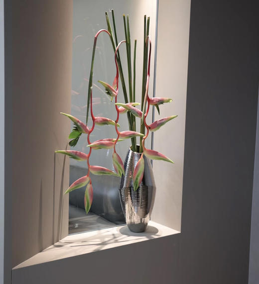 【潇洒】粉吊鸟 （蝎尾蕉  ）单枝 商品图8