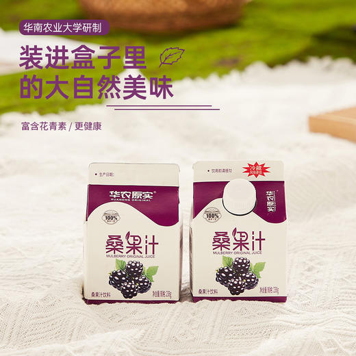 广东华农原实桑果汁238ml*10盒 商品图5