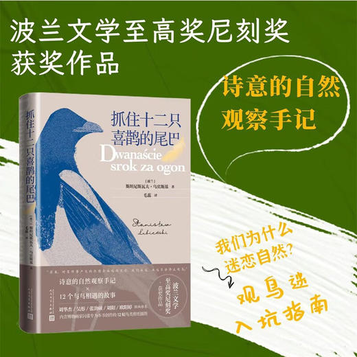 抓住十二只喜鹊的尾巴 斯坦尼斯瓦夫·乌宾斯基 著 文学 商品图0