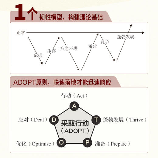 韧性领导力 有竞争力有效能的职场人晋级指南 增强个人影响力领导力法则 创业商业团队公司企业经营决策与判断管理学类图书籍 商品图4
