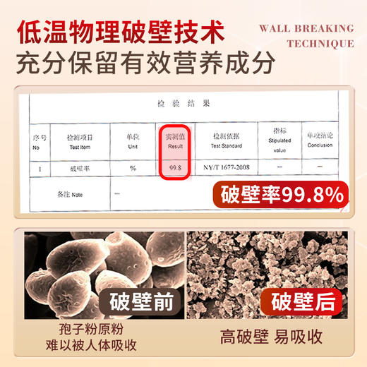 元生泰 破壁灵芝孢子粉胶囊 0.25g/粒*180粒/盒 增强免疫力中老年人营养滋补保健品 商品图5