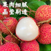 #顺丰冷链【广东•白糖罂荔枝】新鲜采摘 果皮绯红 果肉雪白 核小肉厚 清香甘甜 一吃难忘~ 商品缩略图2