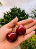 【顺丰冷链空运】【烟台·红灯樱桃】头茬酸甜红灯樱桃 精选大果樱桃 头茬尝鲜 商品缩略图1