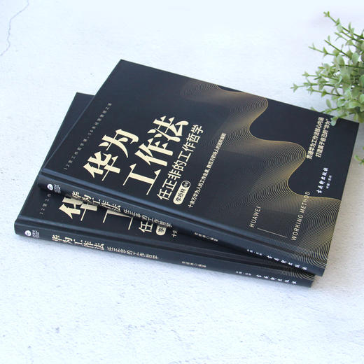 华为工作法 ：任正非的工作哲学 商品图3