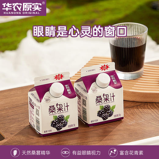 广东华农原实桑果汁238ml*10盒 商品图0