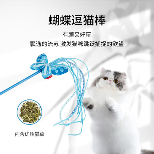 【积分】纳福喵喵礼盒 商品图5