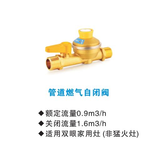 智慧厨房 管道燃气自闭阀预约链接 商品图0