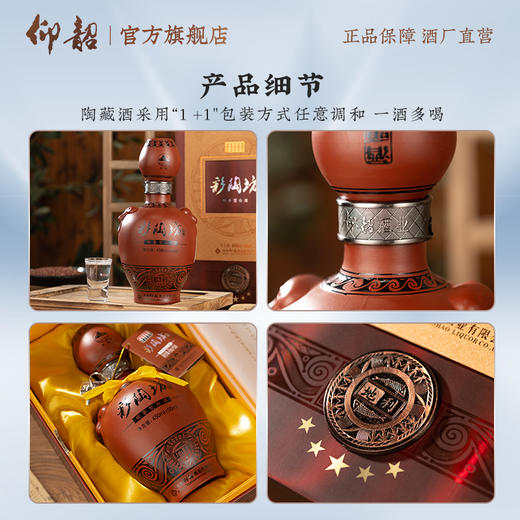 仰韶彩陶坊 五星地利 白酒 陶融型 450+50ml 纯粮酿造 酒香浓郁 商品图6