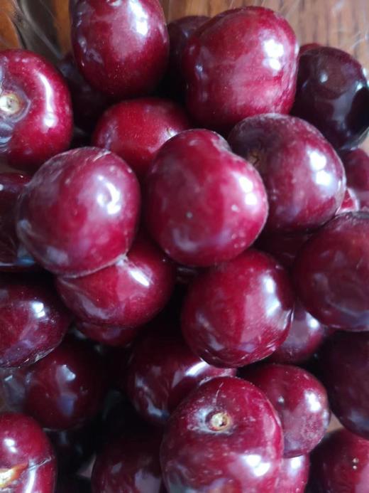 【当天采摘】自由果园樱桃3斤（大中小果混装）@绿之盟 商品图0