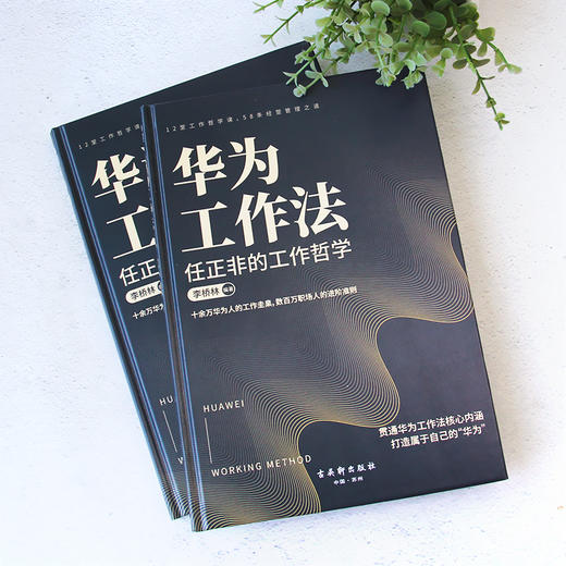 华为工作法 ：任正非的工作哲学 商品图2