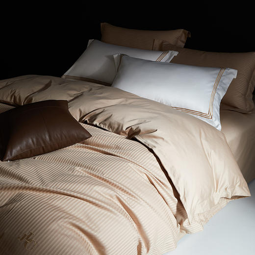 佳丽斯100S贡缎床上四件套轻奢高级感纯棉全棉被套长绒棉床笠光影空间 商品图8