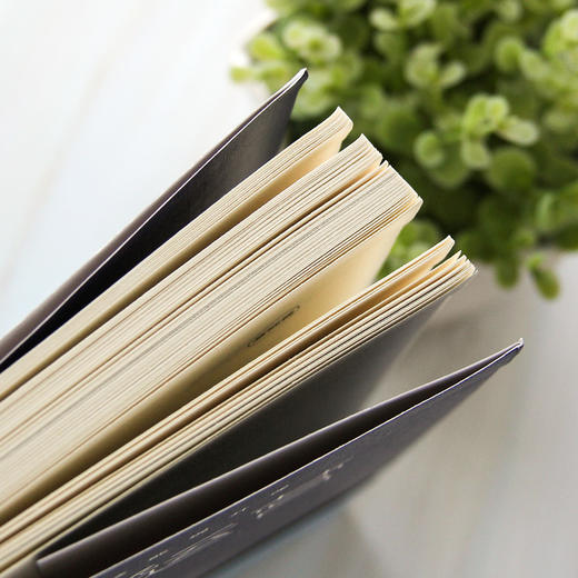 新媒体运营 商品图1