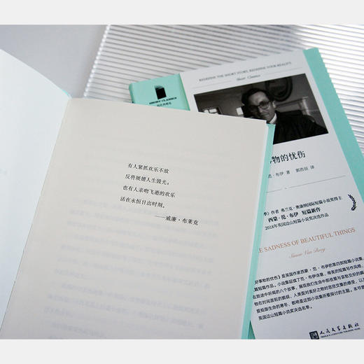 美好事物的忧伤 商品图4