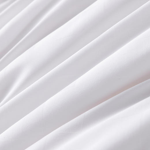 多喜爱 倾颜蚕丝大豆加厚冬被cs 商品图5