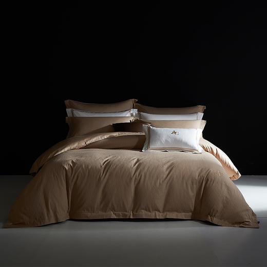 佳丽斯100S贡缎床上四件套轻奢高级感纯棉全棉被套长绒棉床笠光影空间 商品图5