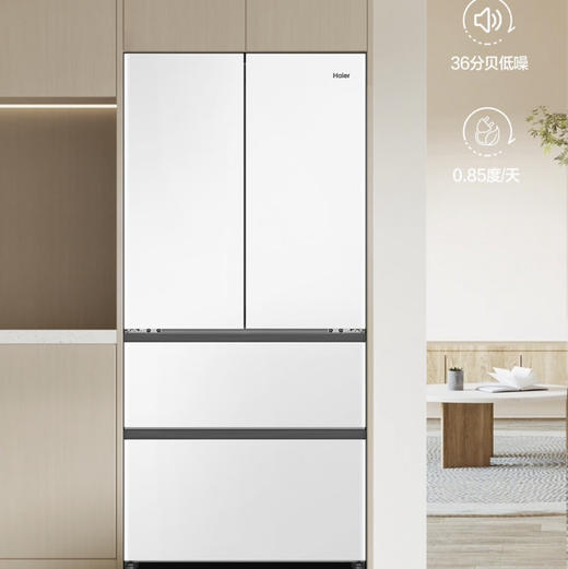 海尔（Haier）冰箱 BCD-460WGHFD4DW9U1 商品图12