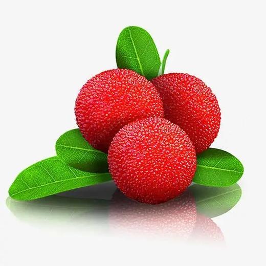 新鲜杨梅  每盒约350克 商品图0