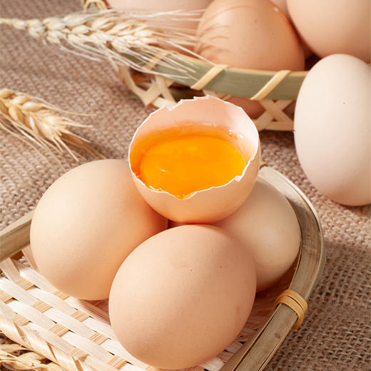 TY （分三个包裹）裕道府稻香鲜米5kg*3袋 （单层真空装）+金龙鱼 至臻玉米油 5L/桶*2+王明公农场现拣土鸡蛋30枚【鲜享5.0】 商品图4