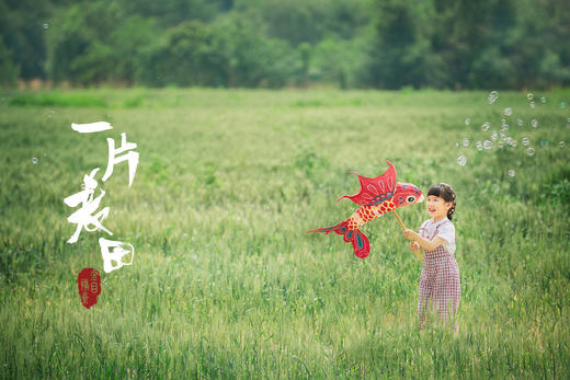 《一片麦田》季节性外景主题 商品图0