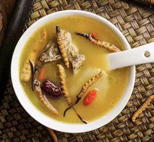 鲜虫草 商品图5