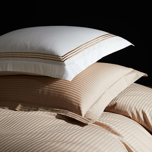 佳丽斯100S贡缎床上四件套轻奢高级感纯棉全棉被套长绒棉床笠光影空间 商品图12