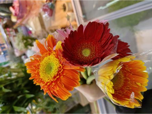 弗朗3支(拼团） 商品图2