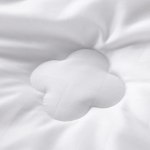 多喜爱 倾颜蚕丝大豆加厚冬被cs 商品图4