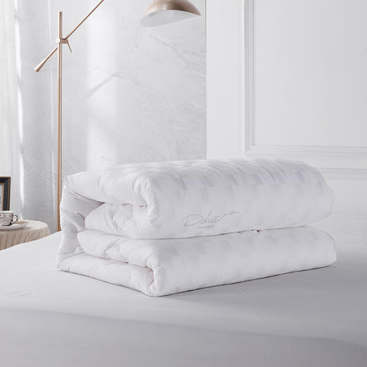 多喜爱 倾颜蚕丝大豆加厚冬被cs 商品图2