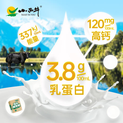 【光明&小西牛】牦牛高钙纯牛奶儿童学生孕妇营养早餐奶200ml*12盒整箱 商品图2