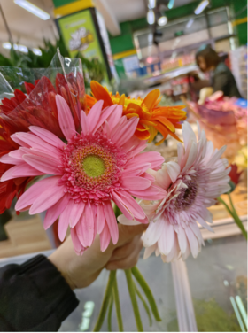 弗朗3支(拼团）