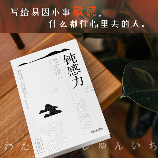 钝感力 商品图3