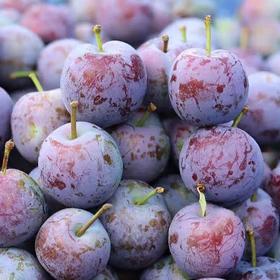 【脆甜可口】五月脆李子 500g/份