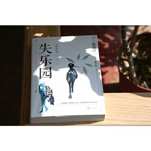 失乐园 商品图2