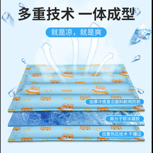 【-12℃的凉爽！夏季现货宠物冰垫】清凉舒爽循环使用耐磨耐抓，猫咪狗狗降温凝胶坐垫耐撕咬降温器凉睡垫粉丝专属 商品图1