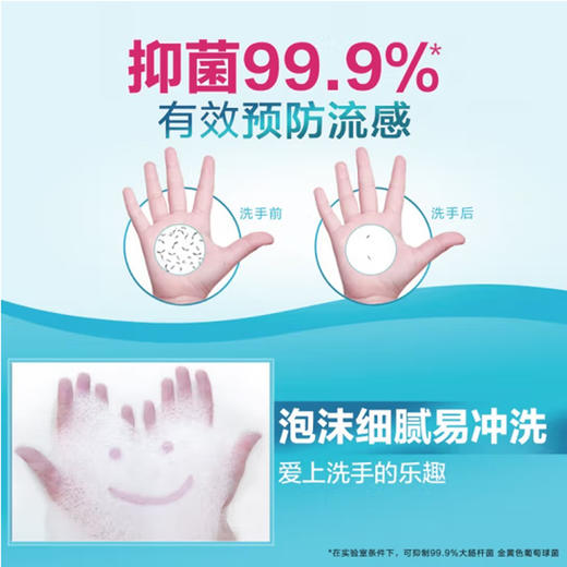 威露士泡沫洗手液300ml 商品图2