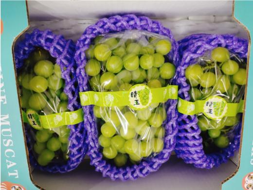 阳光玫瑰一箱（拼团） 商品图1