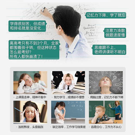 【脑力源动力】脑力宝磷脂酰丝氨酸片  辅助改善记忆力  为脑力加油  心烦意乱记忆力下降脑力不足注意力不集中    60片/瓶 商品图2