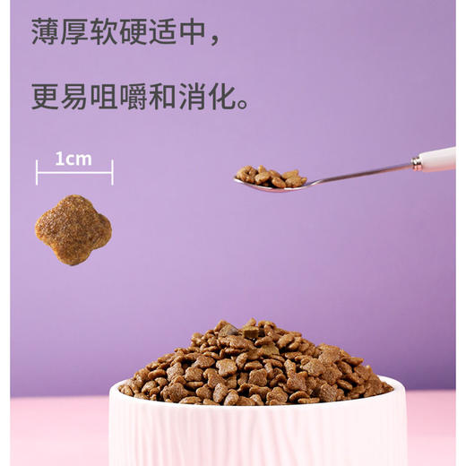 伯纳天纯猫粮无谷成猫粮10kg英短美短蓝猫室内猫咪成猫粮 商品图3