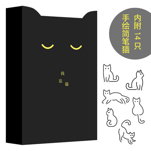 我是猫      夏目漱石成名作 林少华倾情翻译 商品图3