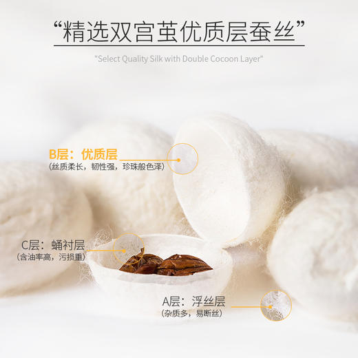 溯源臻品桑蚕丝被 商品图2