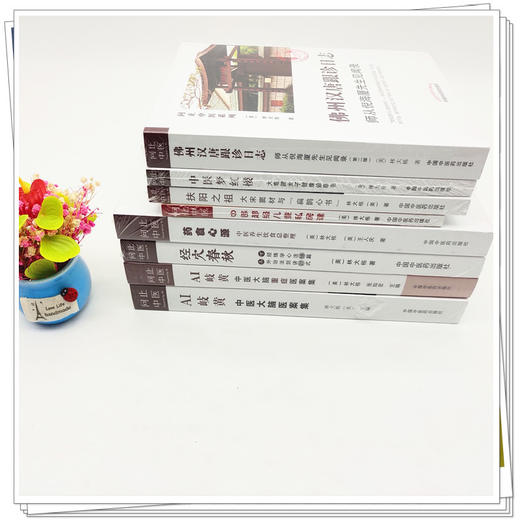 【套装8册】问止中医系列丛书 林大栋 著 佛州汉唐跟诊日志师从倪海厦 经穴春秋药食心源AI岐黄扶阳之祖梦红楼 中国中医药出版社 商品图1